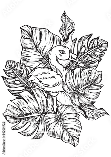 Flamingo in tropical leaves line vector illustration black&white coloring page book