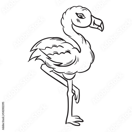 Flamingo line vector illustration black&white coloring page book