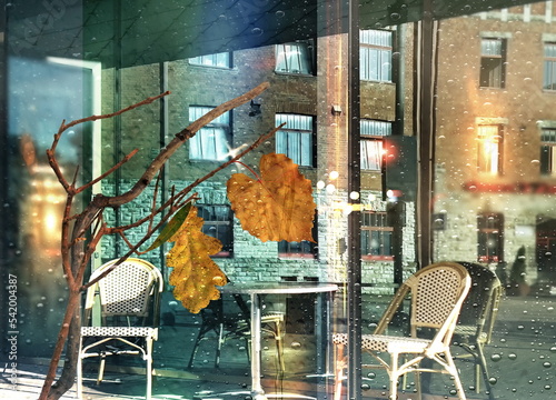  Autumn yellow leaves on tree branch on front modern buildings buseness centre  rainy Tallinn cold season  rain drops on window glass photo