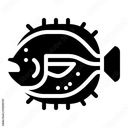 flounder fish sea animal