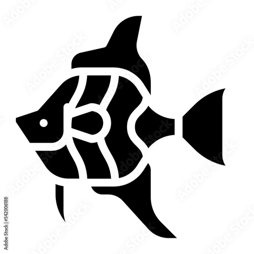 angelfish sea animal