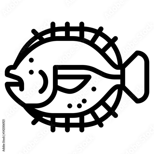 flounder fish sea animal
