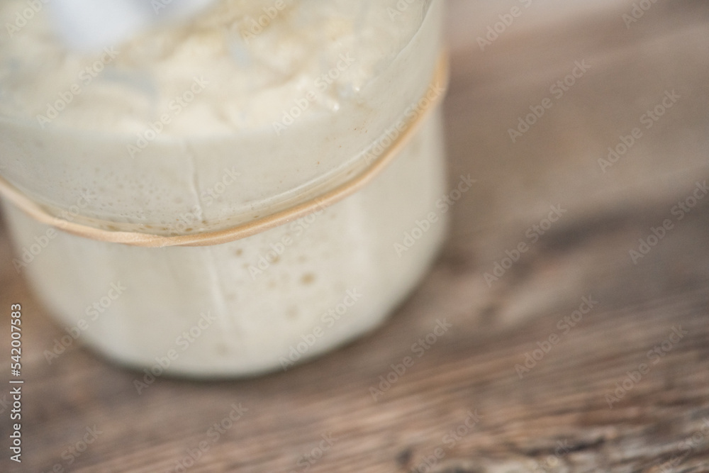 Sourdough starter Sourdough starter