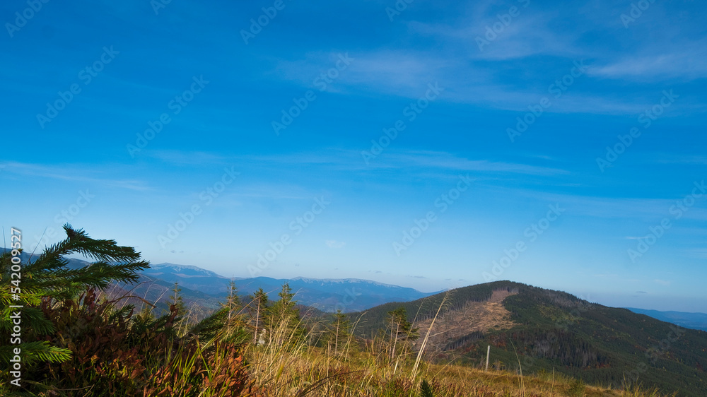 mountains landscape in the carpathians