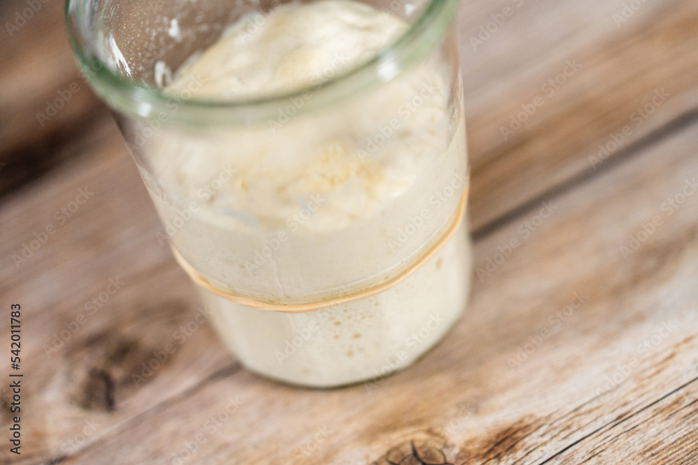Sourdough starter Sourdough starter