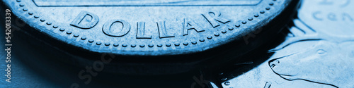 Canadian money. 1 dollar Canadian coin closeup. Blue tinted banner or header on the theme of economics or banking. Coins and money of Canada. News about the discount rate and inflation