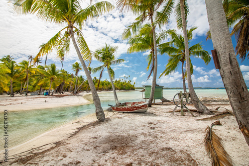 Tropical beach with palm tree, Blue Lagoon, Rangiroa, French Polynesia
