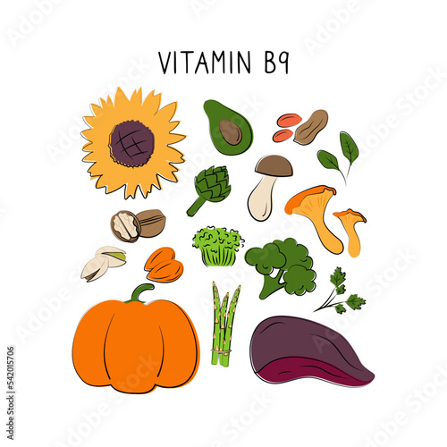 Fototapeta Naklejka Na Ścianę i Meble -  Vitamin B9 folic acid. Groups of healthy products containing vitamins. Set of fruits, vegetables, meats, fish and dairy