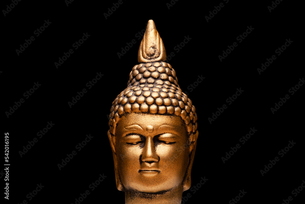 image of buddha statue dark backgorund