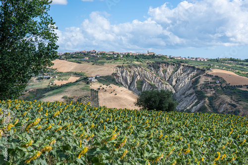 Panorama of Atri with its beautiful badlands and a field of sunflowers photo