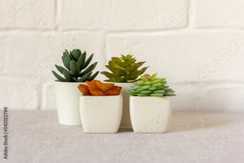 Indoor artificial plants, various succulents in pots. Succulents in white mini-pots. Ideas for home decoration.Copy space.