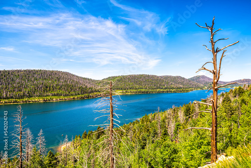 High angle view on Navajo lake, Kane county Utah water reservoire with pine spruce forest in summer by Duck Creek village with bare dry dead trees photo