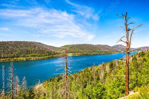 Cuadro en lienzo High angle view on Navajo lake, Kane county Utah water reservoire with pine spru