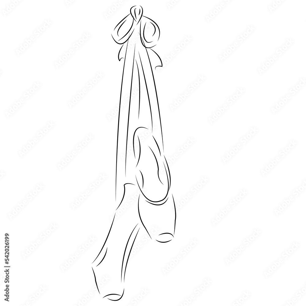 ballet shoes ballet shoes