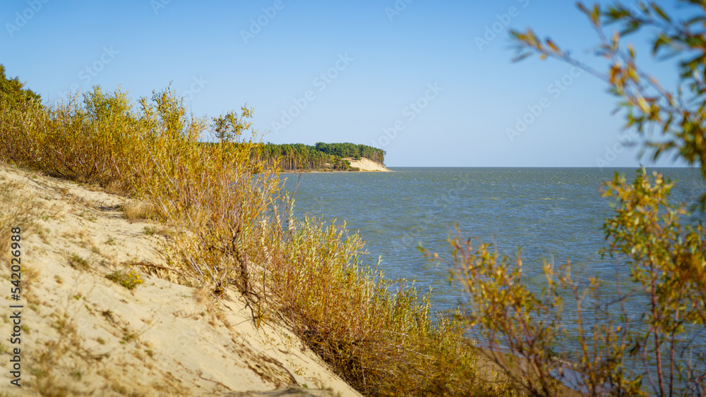 Sandy beach and autumn forest on a sunny day Sandy beach and autumn forest on a sunny day