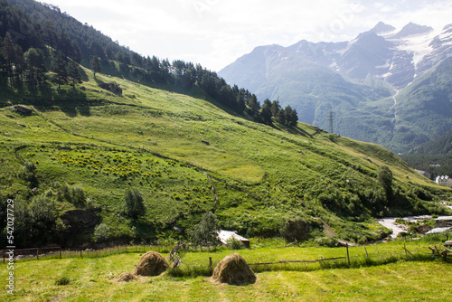 Beautiful mountain landscape with bright green trees on the background of hills and cloudy haze in the sky on a summer day in Elbrus region, Kabardino-Balkaria