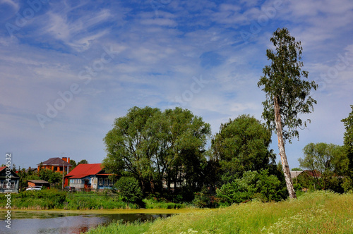 On the edge of the village of Zakharovo, Moscow Region, Russia. View of a blooming pond, a country house with a tiled roof, the edge of the forest. On a warm summer day