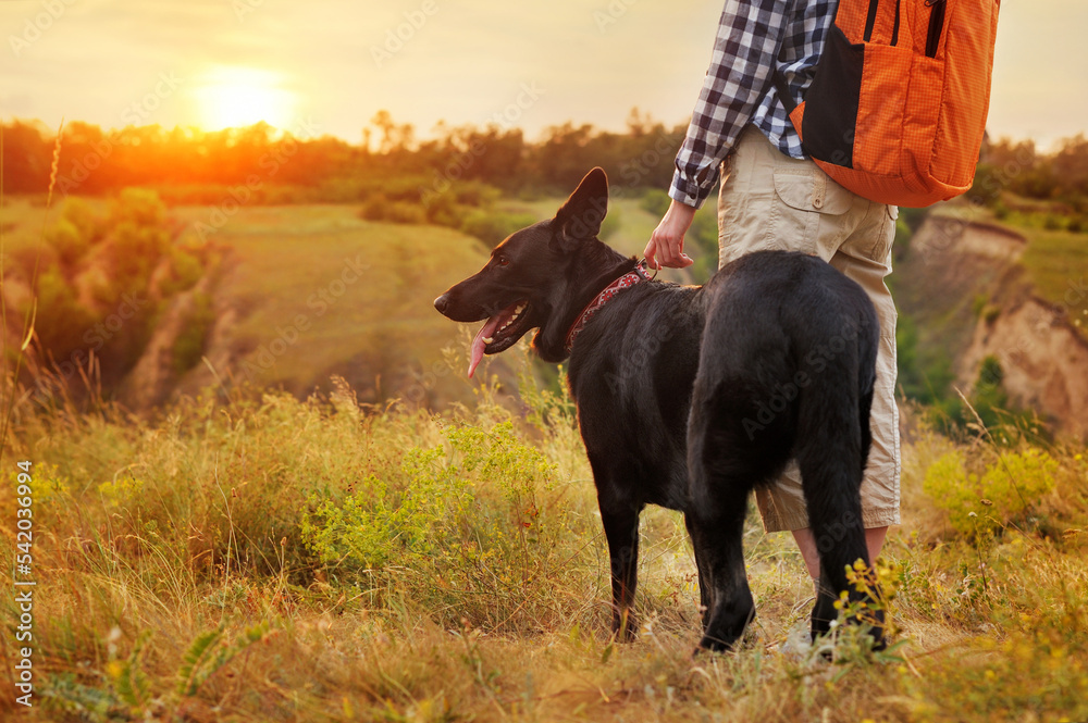 Close-up picture of a hiker standing with the shepherd dog at the countryside