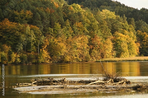 Fototapeta Naklejka Na Ścianę i Meble -  autumn in the lake