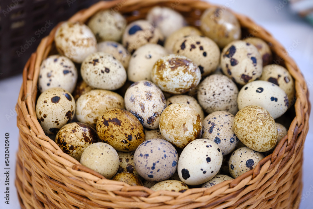 Quail eggs in wicker basket