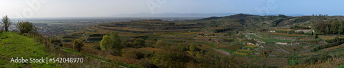 Blick vom Kaiserstuhl ins Elsaß