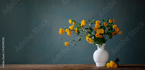 Fotografiet yellow chrysanthemums in white vase on background dark wall