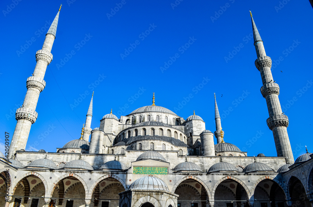 blue mosque city