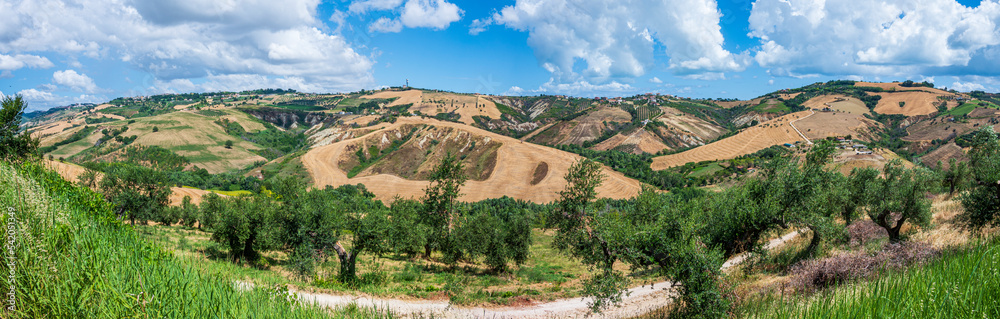 Extra wide angle view of the Abruzzo hills with olive trees and cultivated fields and a blue sky Extra wide angle view of the Abruzzo hills with olive trees and cultivated fields and a blue sky
