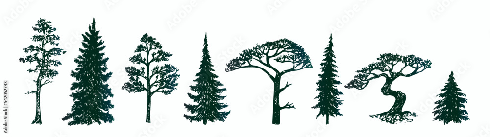 Pine tree silhouette collection, hand drawn doodle sketch, black and white vector illustration