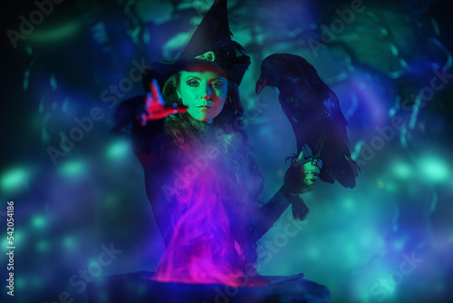 scary witch with raven