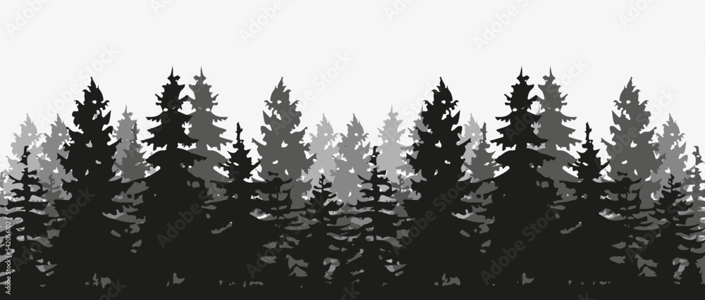 Treeline Spruce Silhouettes High-Res Vector Graphic - Getty Images