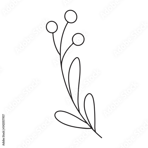 Hand drawn minimalist branch with leaves and berries. Black contour line outline vector illutration in minimal doodle style. Winter holidays floral clip art, greenery
