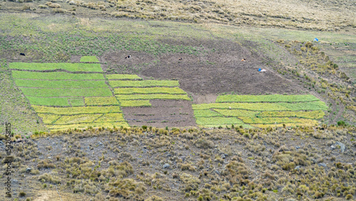 Incredible landscapes of the paramos of the Ecuadorian Andes