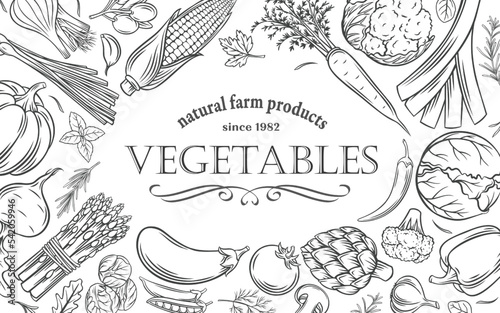 Vegetables, natural farm food products design template vector illustration. Outline hand drawn icons of fresh healthy collection for vegetarian and vegan diet, summer harvest of vegetables poster