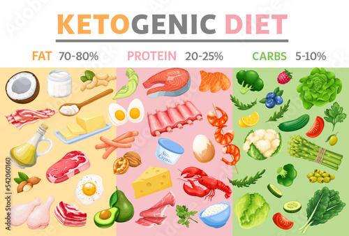 Keto diet design template vector illustration. Cartoon food for infographic chart of low carbohydrate diet, healthy ketogenic nutrition with fats, proteins and carbs for weight loss poster background