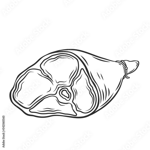 Whole animal leg outline icon vector illustration. Line hand drawn raw or cooked, smoked part of carcass, pork lamb or beef leg with bone and meat, product of butchery and traditional delicatessen