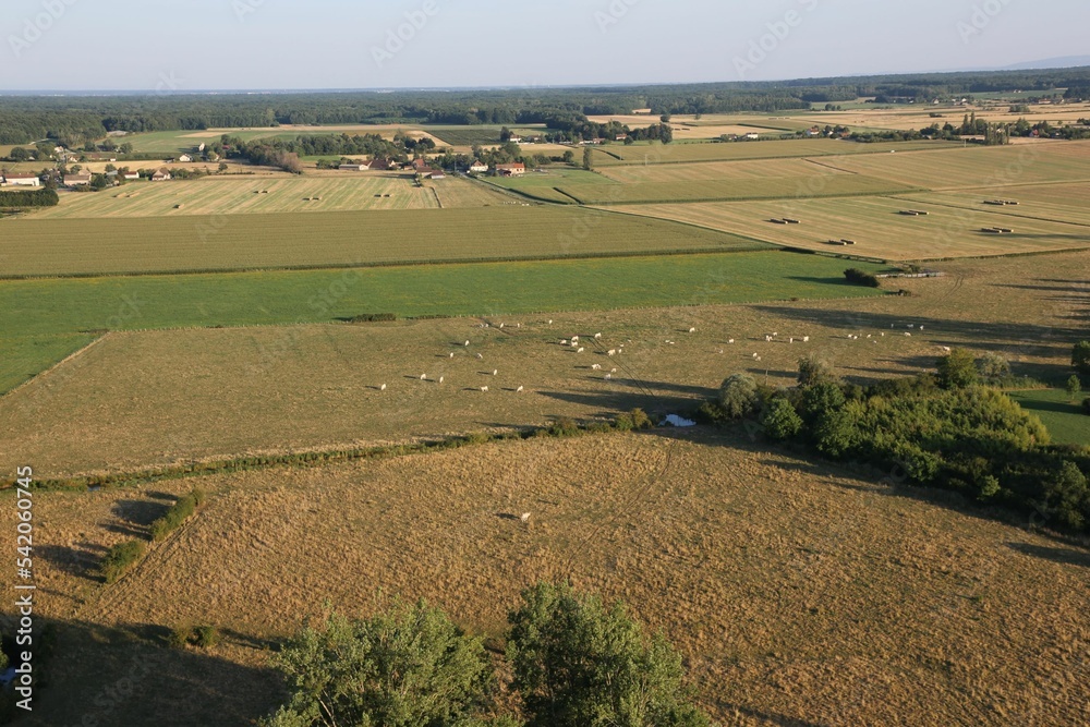Obraz premium Aerial view of large green agircultural fields on a sunny summer day
