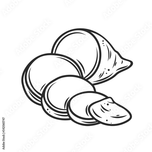 Sweet potato cut in half and slices outline icon vector illustration. Line hand drawn raw yam vegetable with peel cutting to cook potato meals in kitchen, bake or boil for vegetarian healthy meal