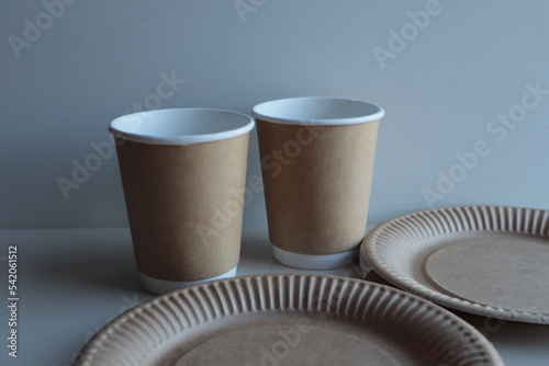 Disposable tableware glass and plate made of cardboard.