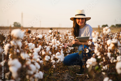 Portrair Cotton farmer woman checks the field with tablet. Inteligent agriculture and digital agriculture