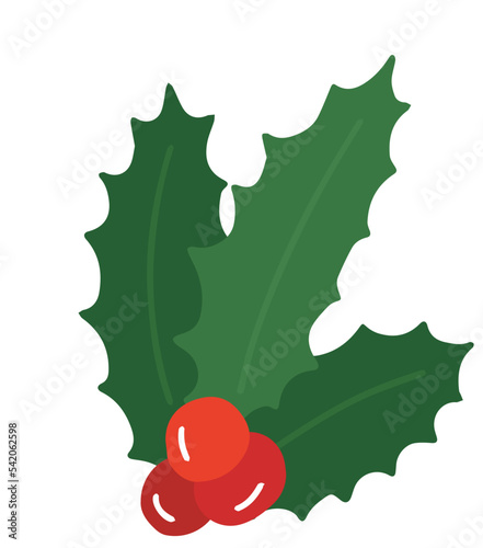 Christmas holly berry plant vector illustration. Christmas mistletoe vector illustration