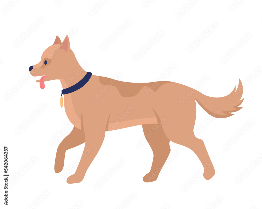 Cute dog semi flat color vector character. Editable figure. Full sized animal on white. Domestic animal with collar simple cartoon style illustration for web graphic design and animation