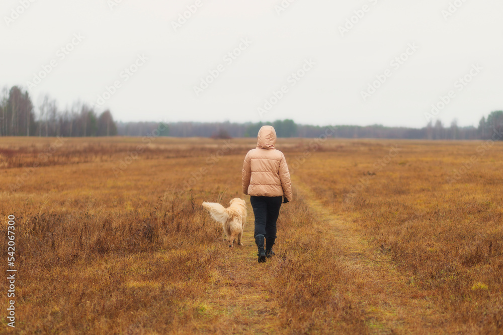 A woman walks with a dog, a golden retriever in the autumn forest.