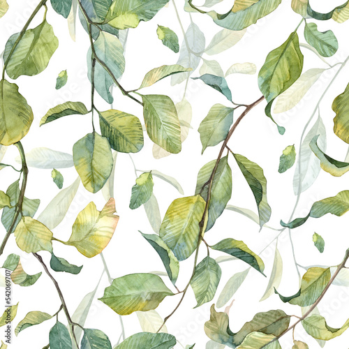 Floral seamless pattern with realistic botany watercolor on white background. Watercolor hand painted green leaves on curly twigs design for wallpapers backdrop and wrapping paper