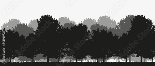 Spruce treeline silhouette landscape. Pine tree silhouette landscape
