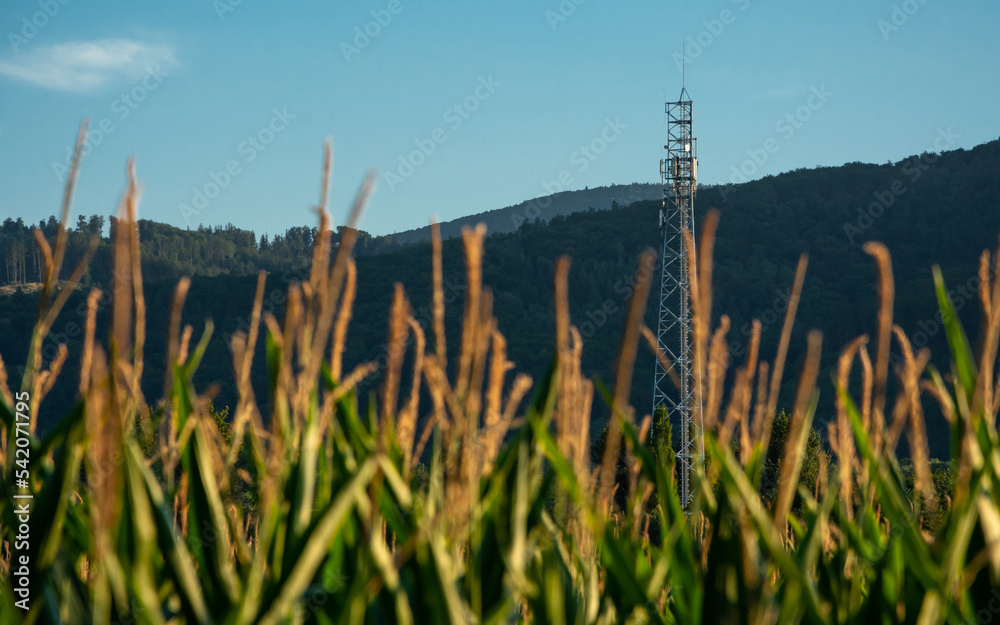 Obraz premium wieża telefonii komórkowej na polu kukurydzy, w tle góry porośnięte lasem