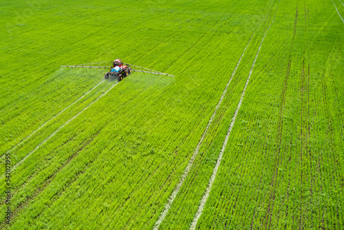 Protection of agricultural seedlings from pests and diseases. A self-propelled sprayer sprays pesticides on a green field. Shooting from a drone.