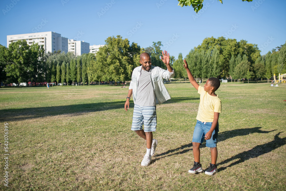 Portrait of smiling African man and boy walking on field. Bearded dad and his son in casual clothes talking and trying to clap each others hands. Fatherhood, resting and spending time together concept