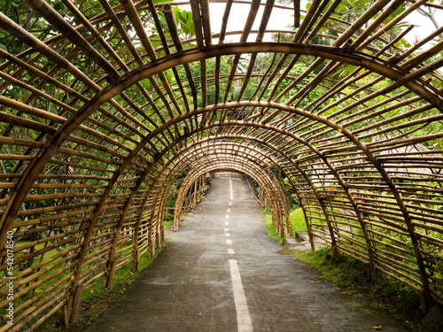 Beautifull tunnel that made from bamboes