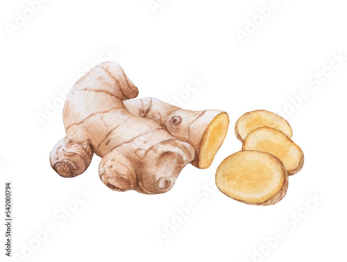 Fotografija Watercolor ginger root cut, ginger root slices isolated.